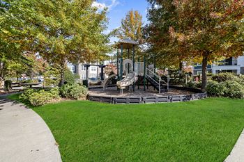 Lively playground